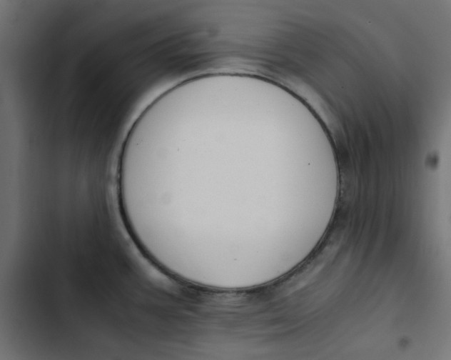 X0000103331387200809261150