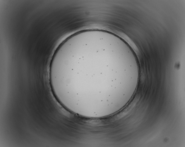 X0000103331388200809261150