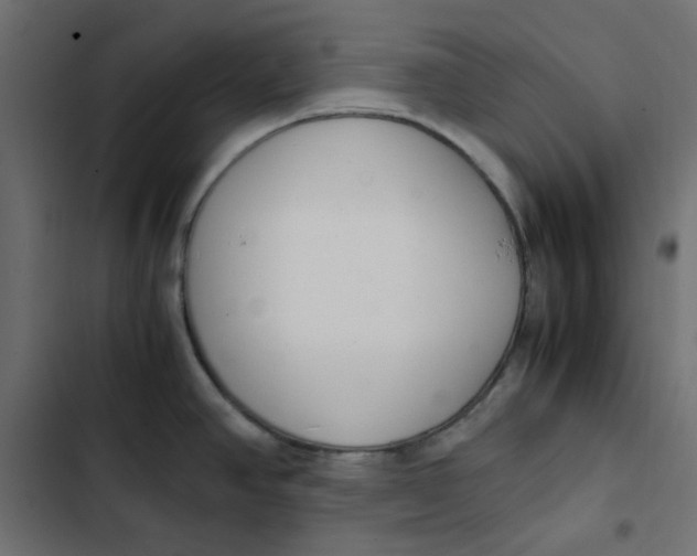 X0000103331390200809261150