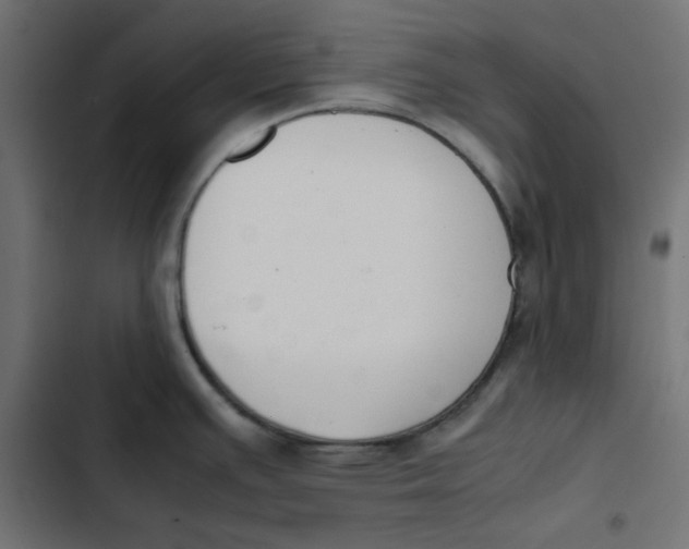 X0000103331391200809261150