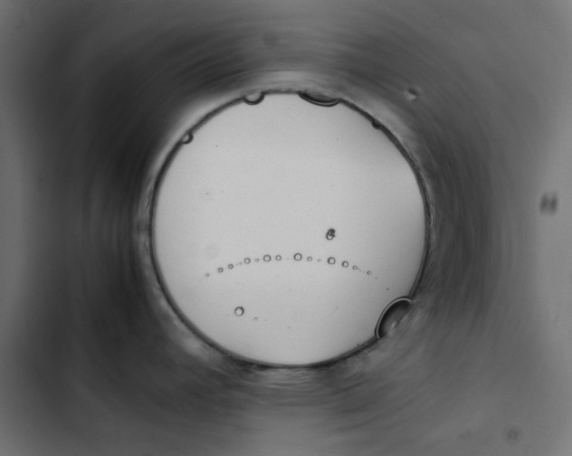 X0000103331392200809261150