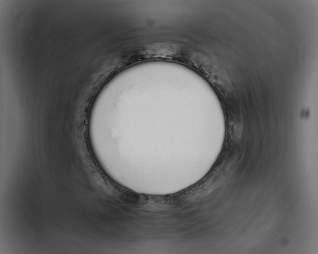 X0000103331393200809261149