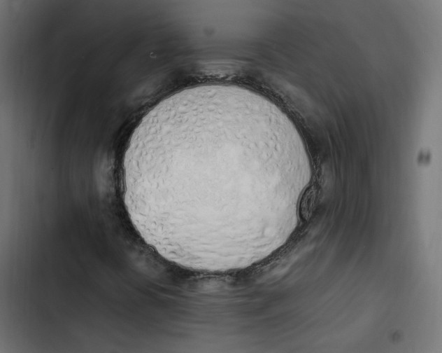 X0000103331394200809261149