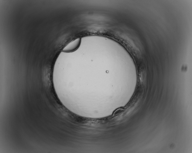 X0000103331396200809261149