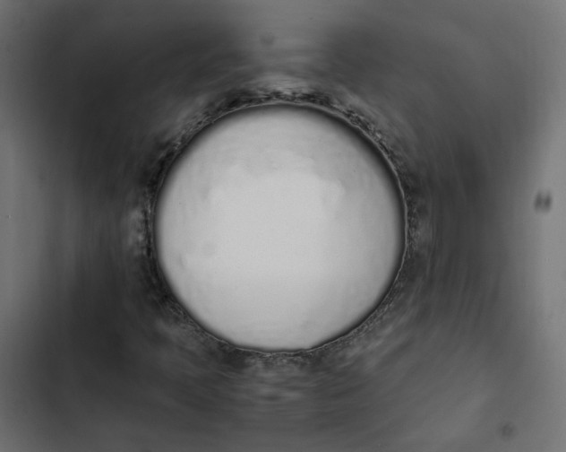 X0000103331397200809261149