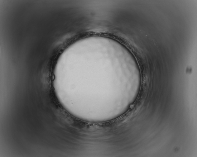 X0000103331398200809261149