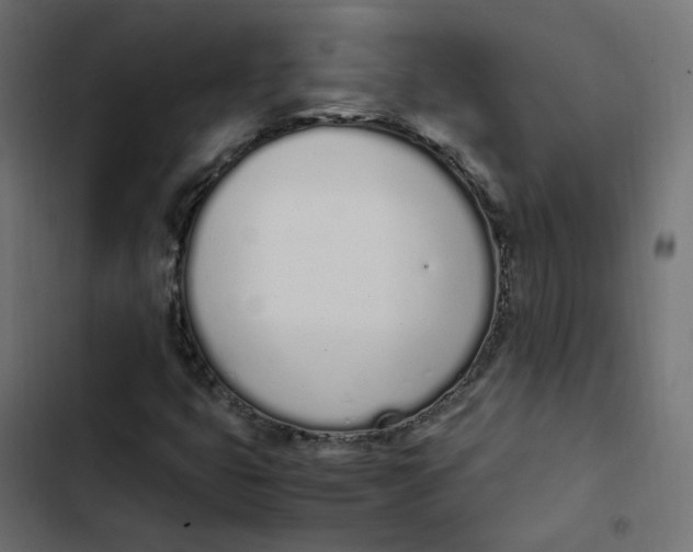 X0000103331399200809261150