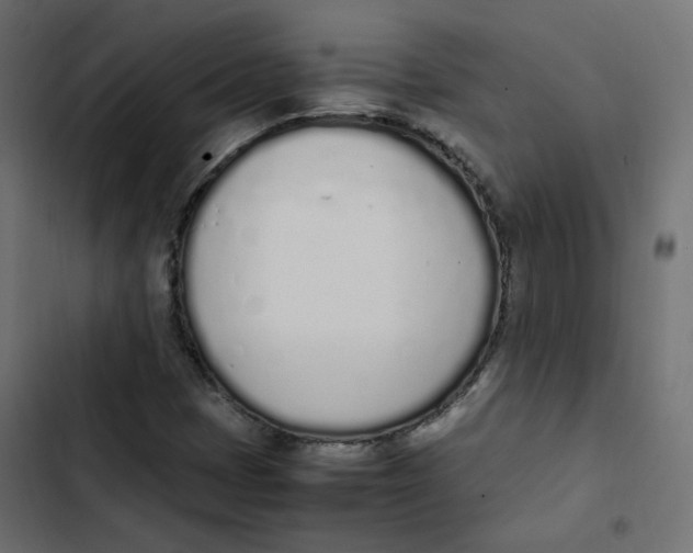 X0000103331401200809261150