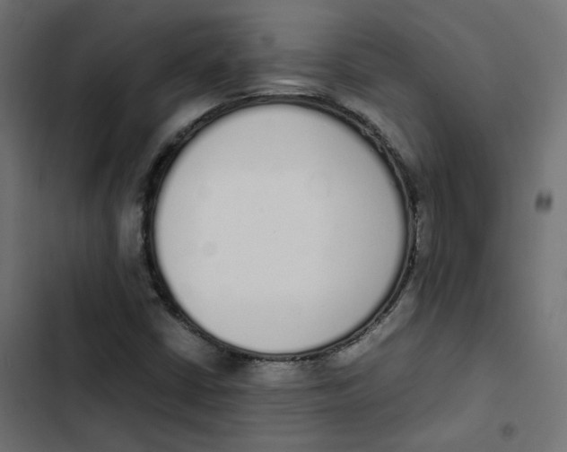 X0000103331402200809261150