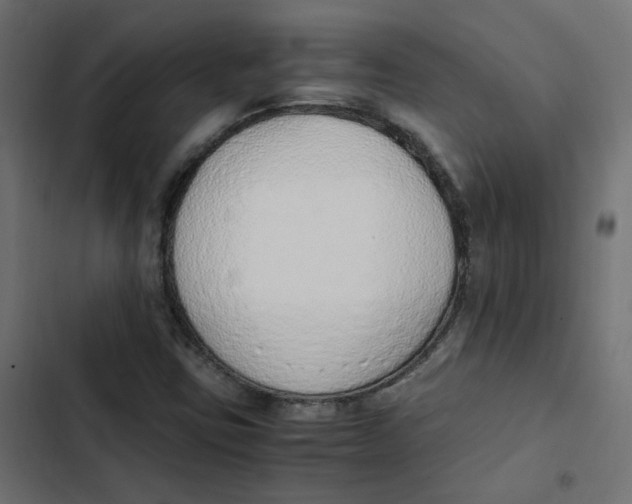 X0000103331403200809261150