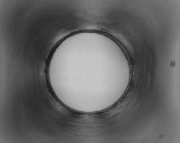 X0000103331404200809261150