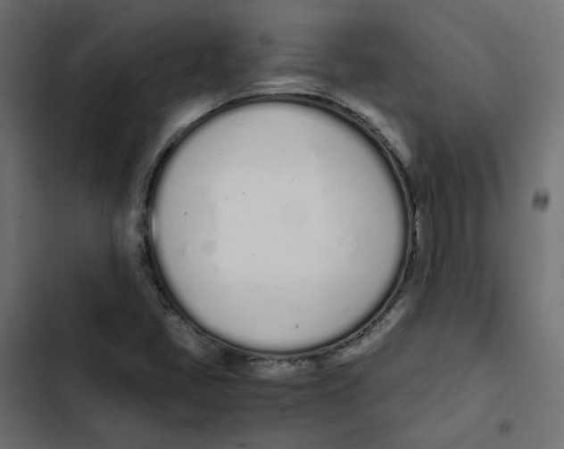 X0000103331405200809261150