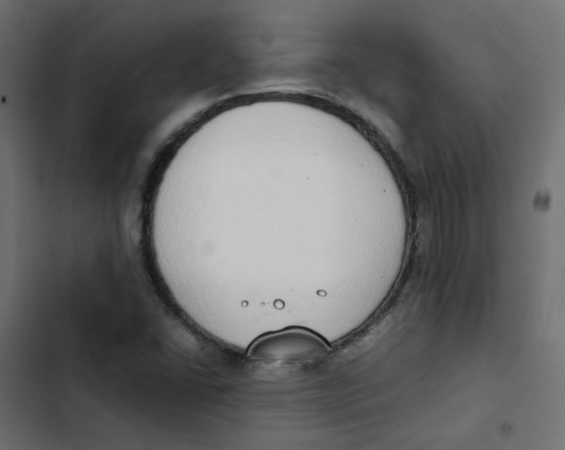 X0000103331406200809261150