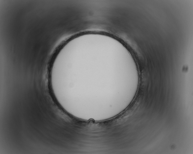 X0000103331408200809261150