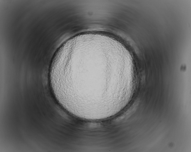 X0000103331409200809261150