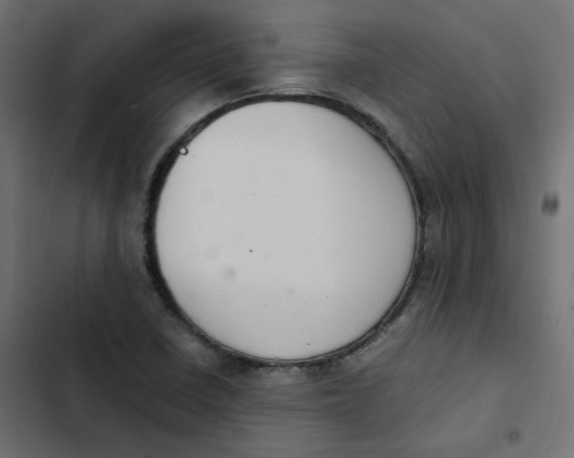 X0000103331410200809261150