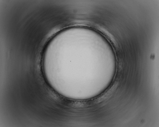 X0000103331411200809261150