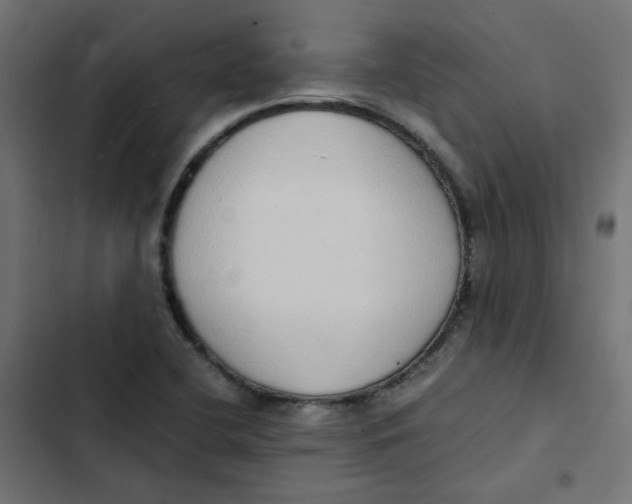 X0000103331412200809261150