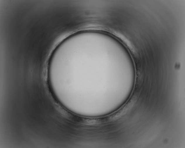 X0000103331413200809261150