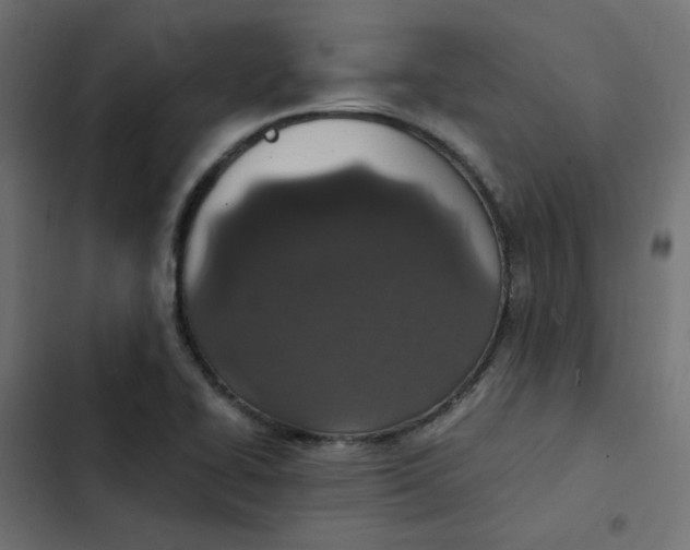 X0000103331414200809261150