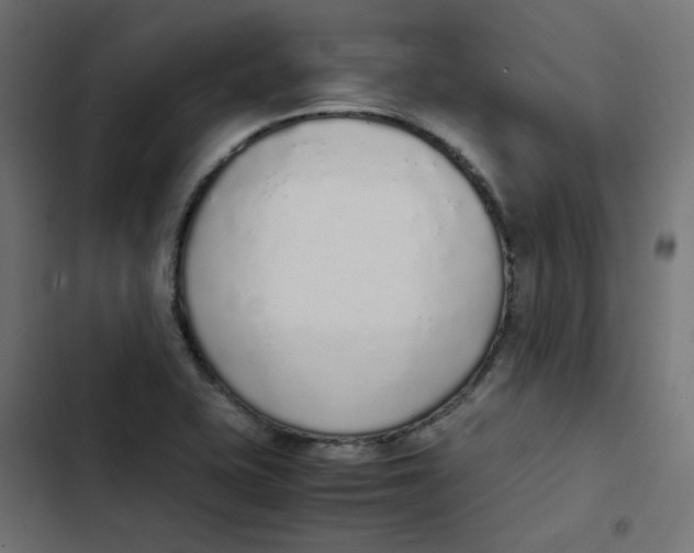 X0000103331415200809261150