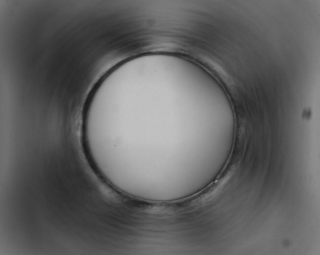 X0000103331418200809261150