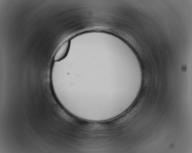 X0000103331420200809261150