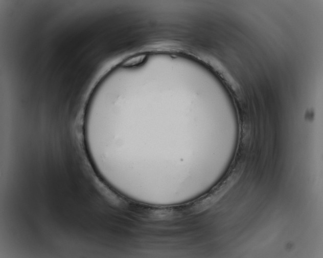 X0000103331421200809261150