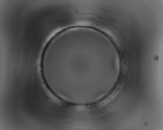 X0000103331422200809261150