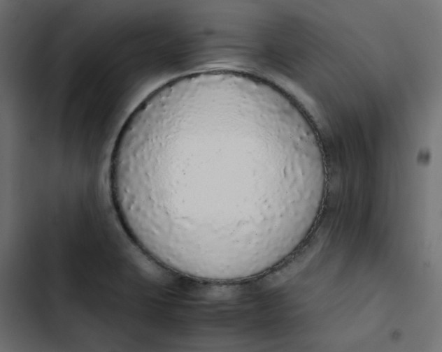 X0000103331423200809261150