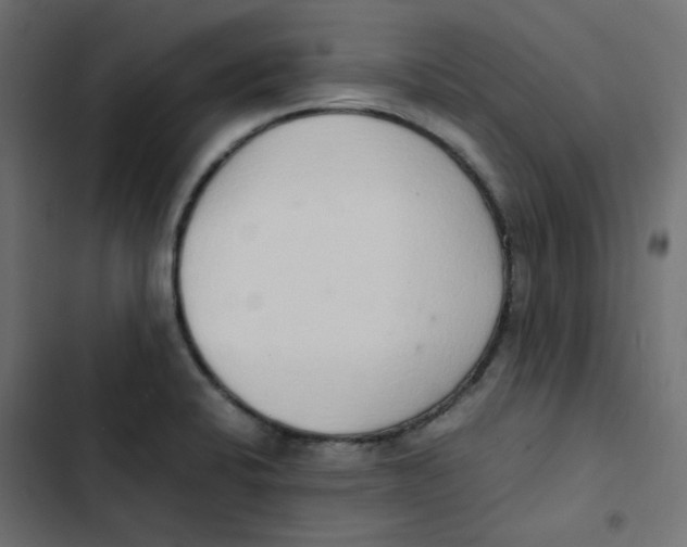 X0000103331424200809261150