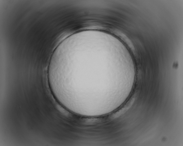 X0000103331425200809261150