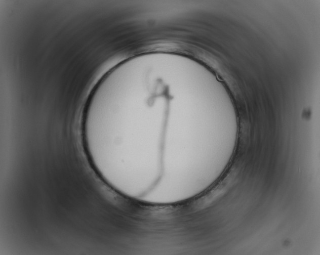 X0000103331426200809261150