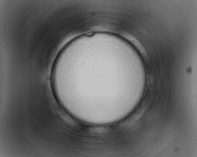 X0000103331427200809261150