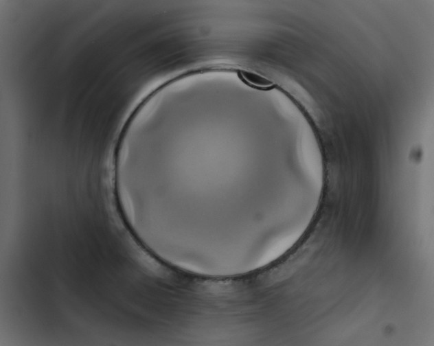 X0000103331428200809261150