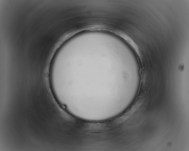 X0000103331429200809261150