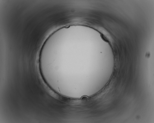 X0000103331431200809261150