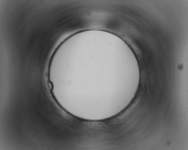 X0000103331432200809261150