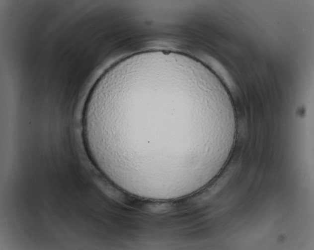 X0000103331435200809261150