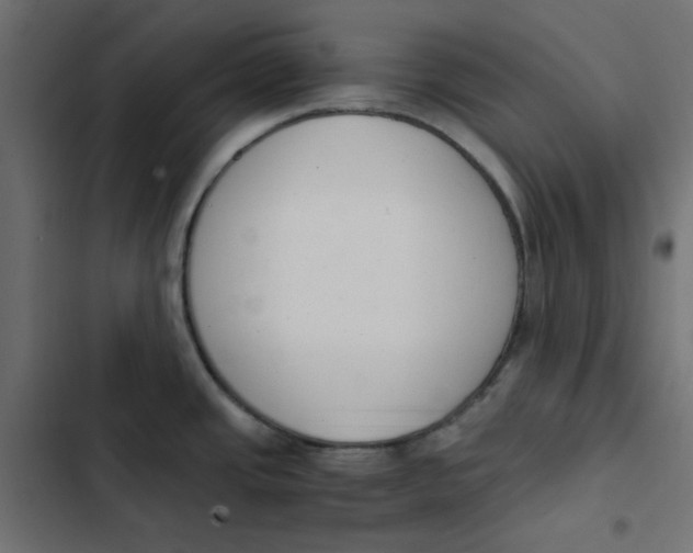 X0000103331437200809261150