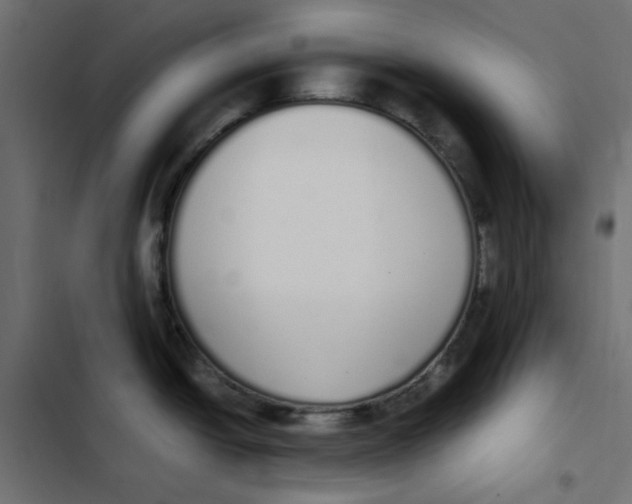 X0000103331438200809261150