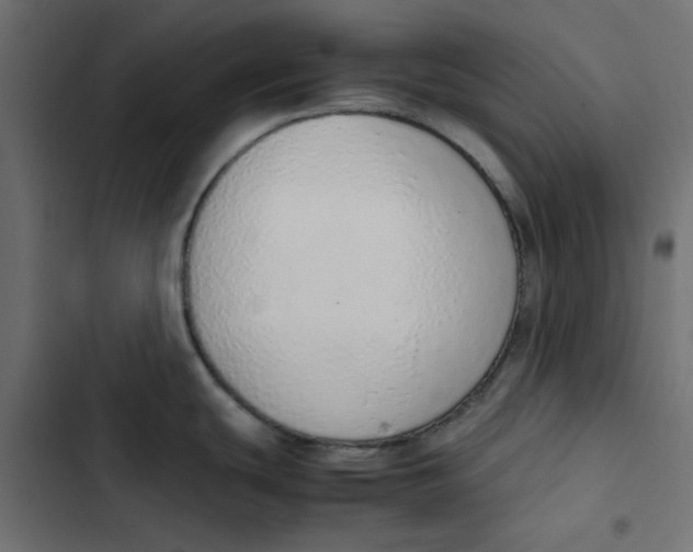 X0000103331439200809261150