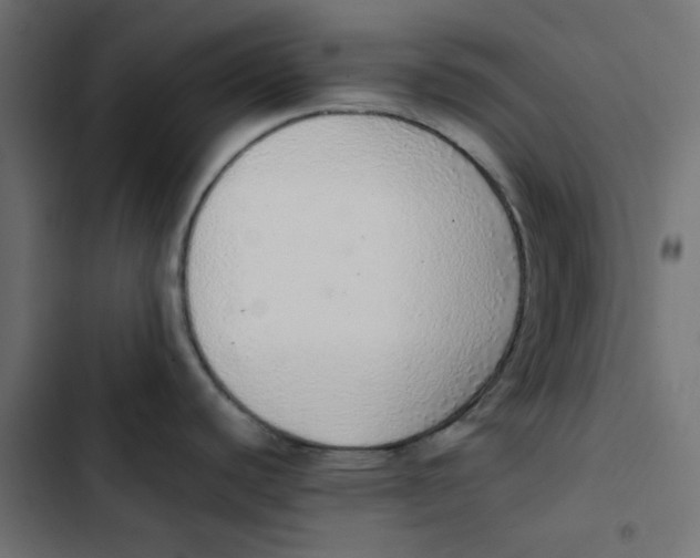 X0000103331440200809261150