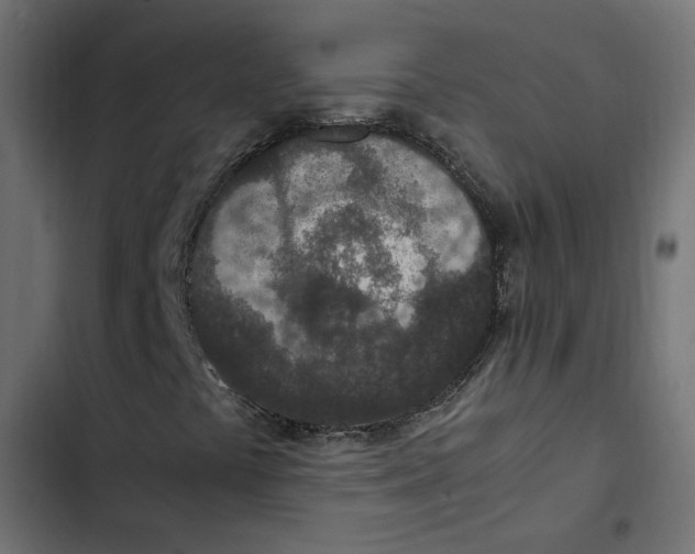 X0000103331441200809261149