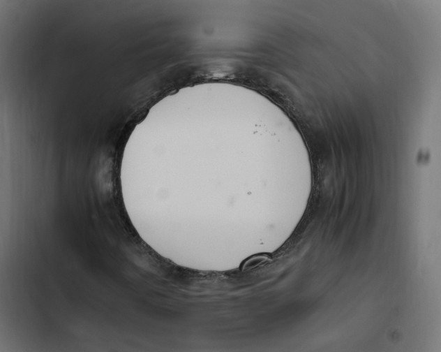 X0000103331442200809261149