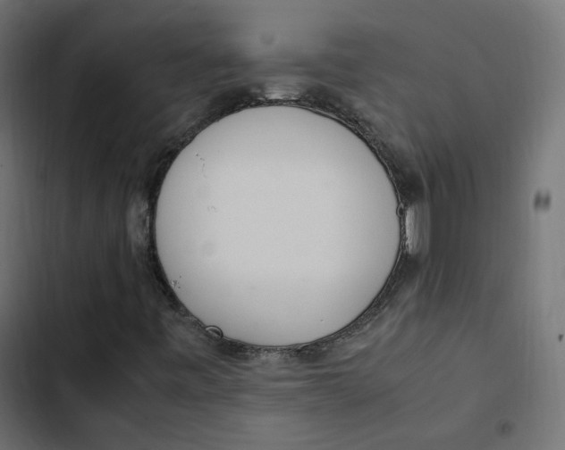 X0000103331443200809261149