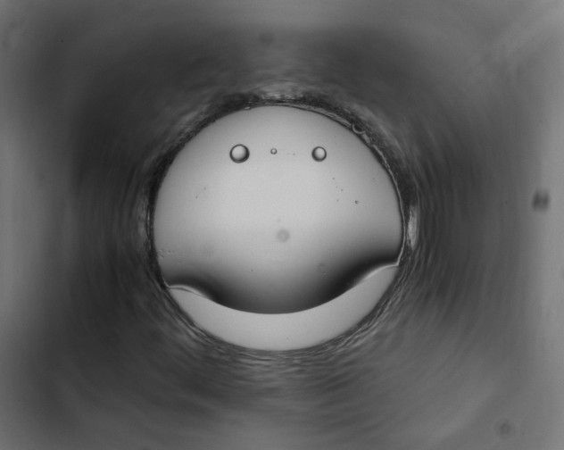 X0000103331444200809261149