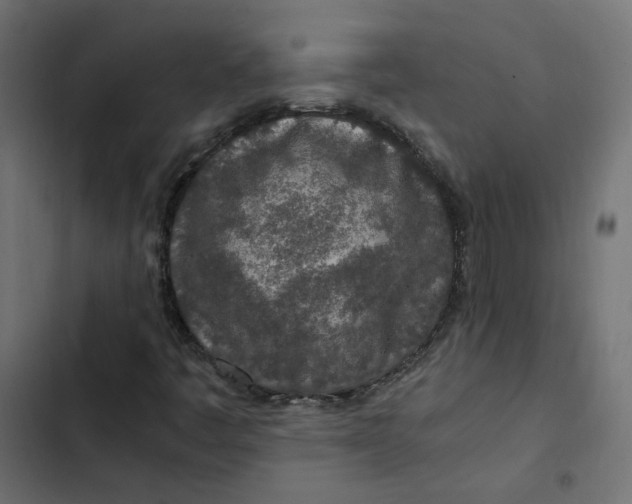 X0000103331445200809261149