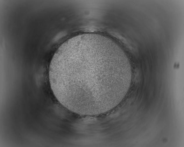 X0000103331446200809261149