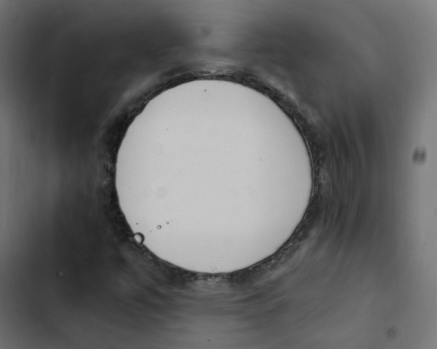 X0000103331447200809261149